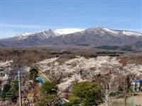 校庭からの景色